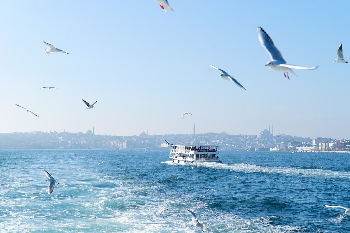 Is a Bosphorus Cruise Worth It? Real Traveler Reviews and Tips